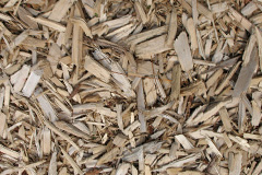 biomass boilers Cauld